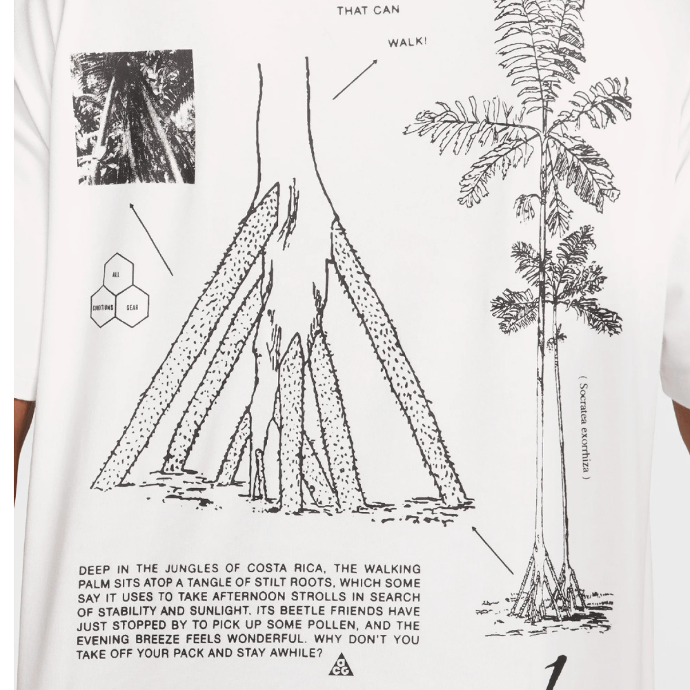 Nike ACG "Walking Tree" Dri-FIT T-Shirt-White-HJ0796-121