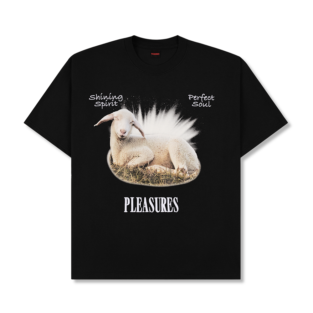 Pleasures Shine T-Shirt -Black -P25W061-BLACK