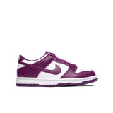 Nike Dunk Low Retro (GS) 'Viotech' - FB9109-110