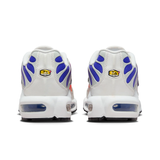 Wmns Nike Air Max Plus "Platinum Tint/black-persian Violet" -DZ3670-003