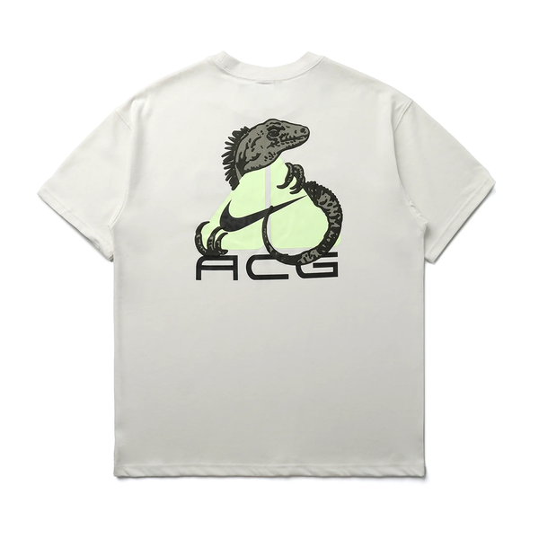 Nike ACG T-shirt - Phantom-HJ0884-030