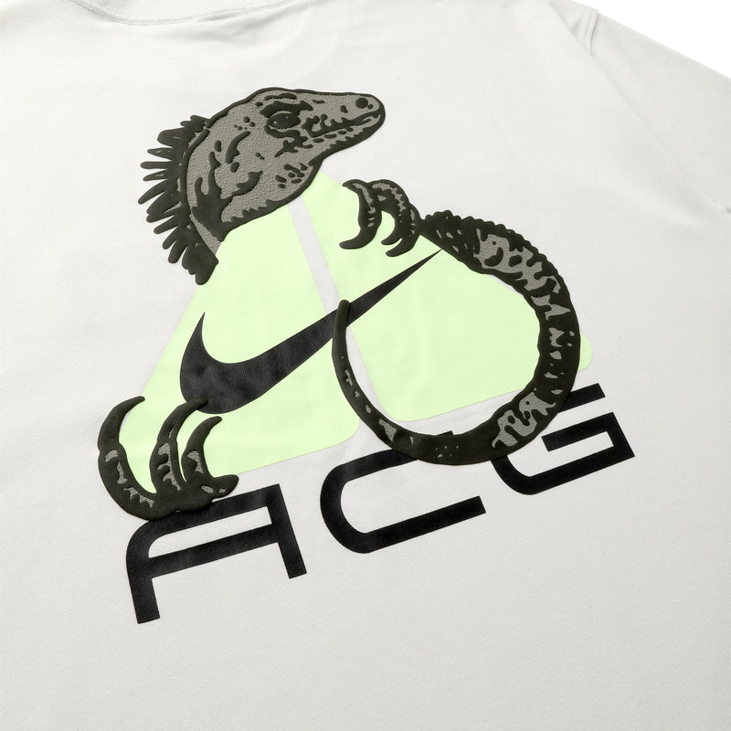 Nike ACG T-shirt - Phantom-HJ0884-030