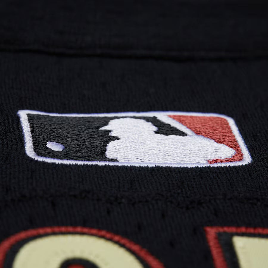 Mitchell & Ness Billy Wagner Black Houston Astros 2002 Batting Practice Jersey-Black-JY13293-HASBLCK