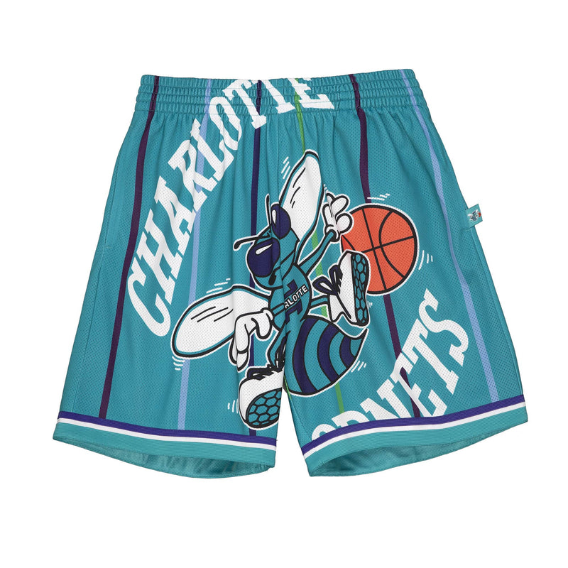 Big Face 2.0 Shorts Charlotte Hornets