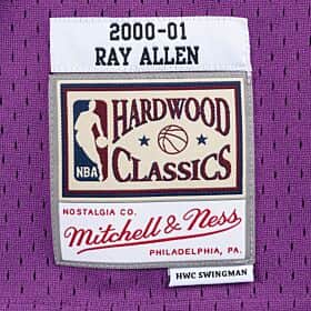 Swingman Jersey Milwaukee Bucks Road 2000-01 Ray Allen